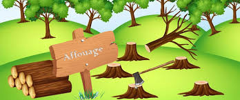 Inscription pour les affouages 2025/2026