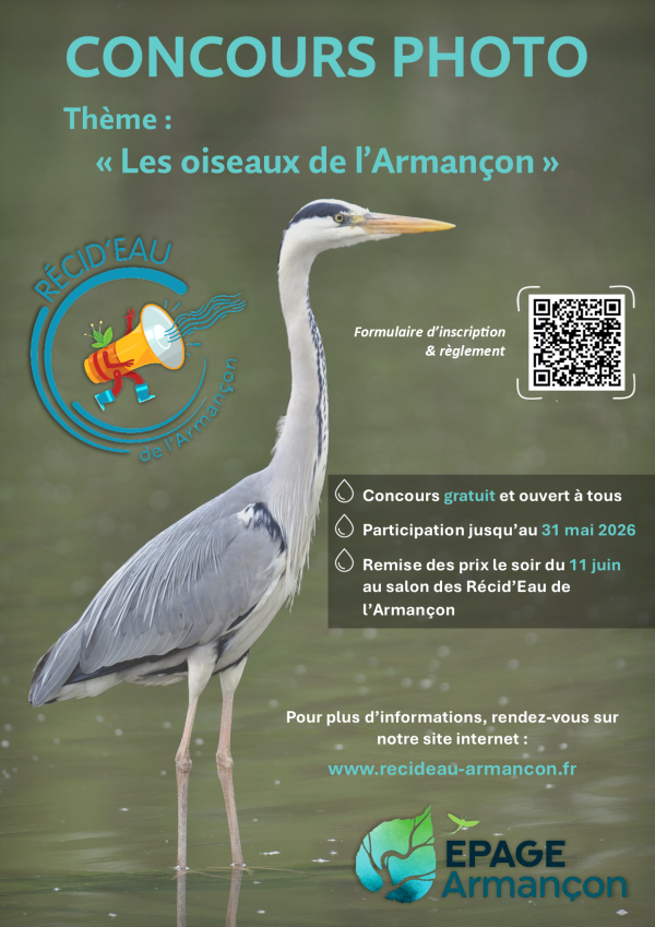 Affiche du concours photo Les oiseaux de l'Armançon"